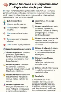Como funciona o corpo humano? – Explicação simples para crianças