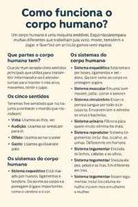 ¿Cómo funciona el cuerpo humano? – Explicación simple para niños