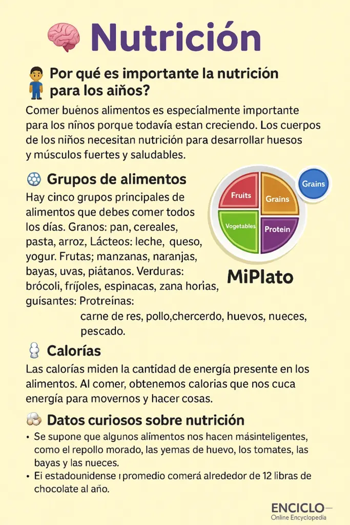 Nutricion