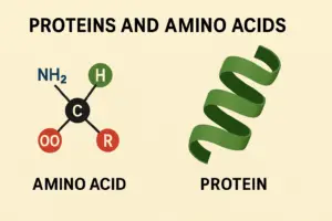 Proteínas e Aminoácidos