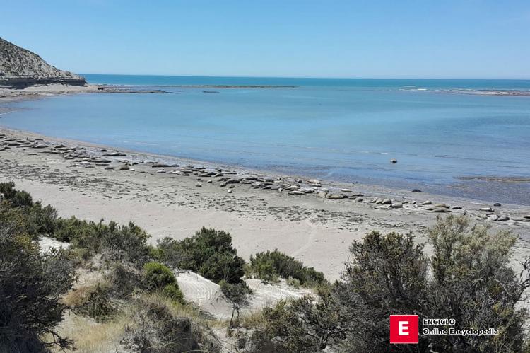 Playa Elefante Marino, Península Valdés, Argentina