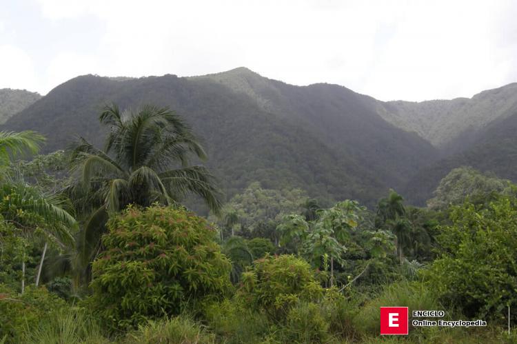 Parque Nacional Alejandro de Humboldt (Cuba)