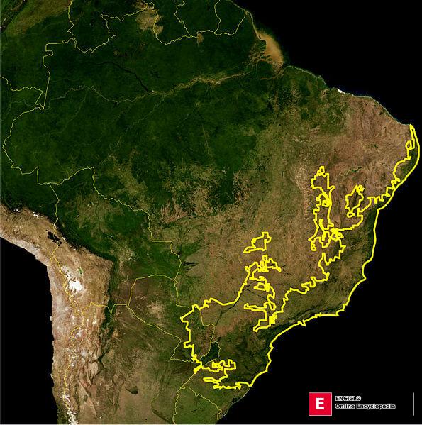 Bioma del Bosque Atlántico, según lo delineado por el WWF