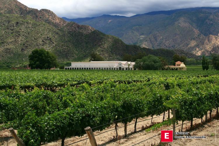 Bodega Cafayate, Provincia de Salta, Argentina
