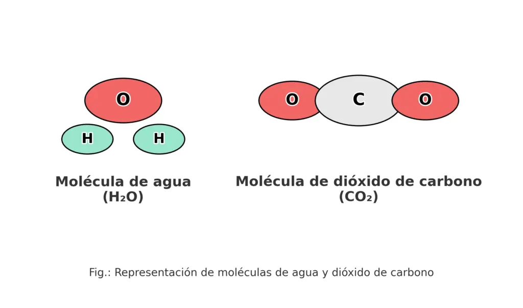 Compuesto - Representación de las moléculas de agua (H₂O) y dióxido de carbono (CO₂)