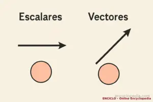 Escalars vectores enciclo final