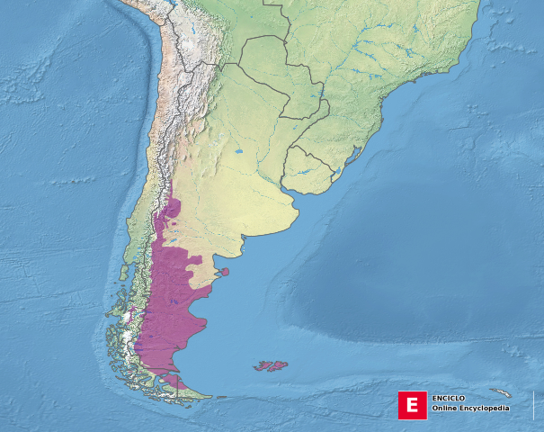 Mapa que representa la ubicación de la estepa patagónica (en violeta)