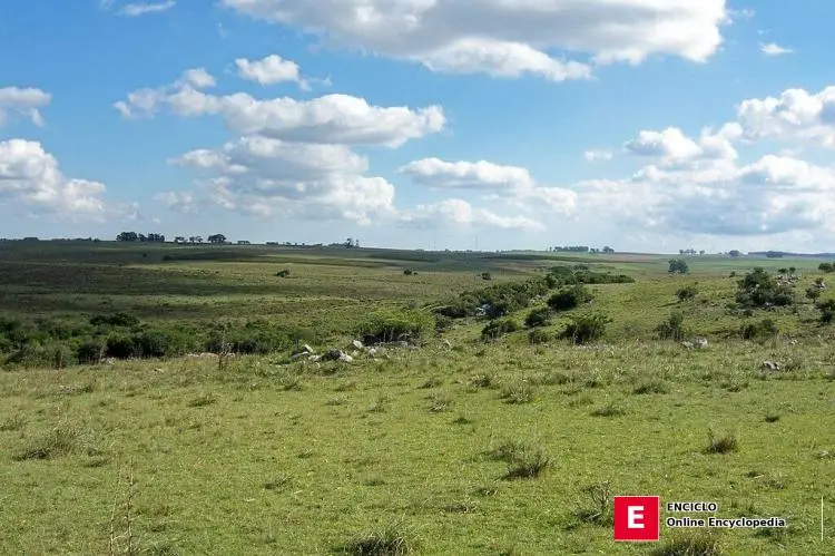 Pradera y bosque ribereño, cerca de la Sierra de Mal Abrigo, San José (Uruguay)