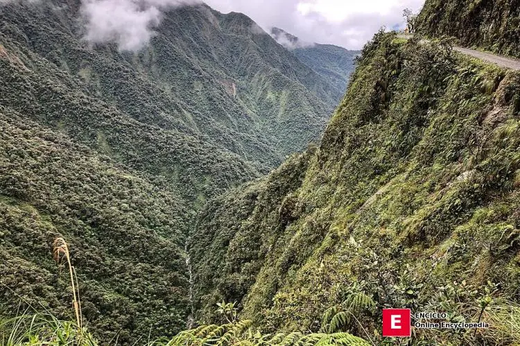 Camino de los Yungas al Norte, Andes Bolivianos