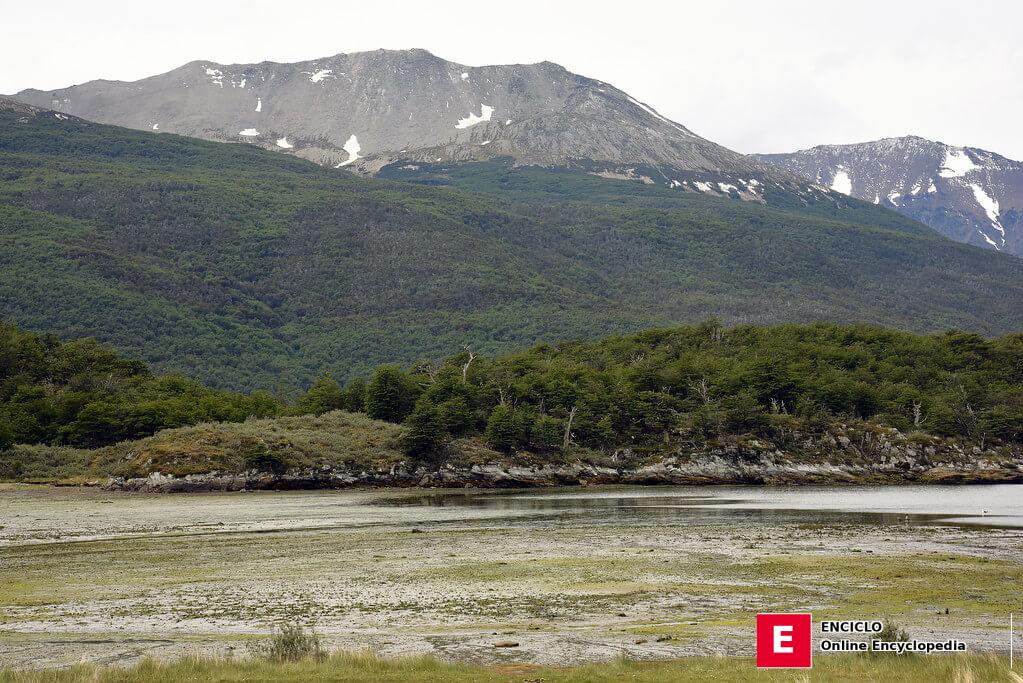 Paisaje de Tierra del Fuego - por Harvey Barrison (CC BY-NC-SA 2.0)