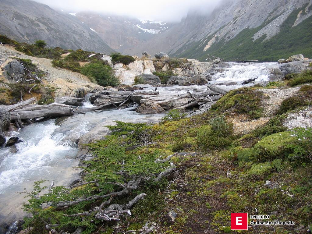 Río en Tierra del Fuego