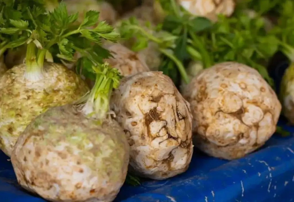 Apio: propiedades, beneficios y métodos de uso