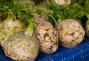 Apio: propiedades, beneficios y métodos de uso