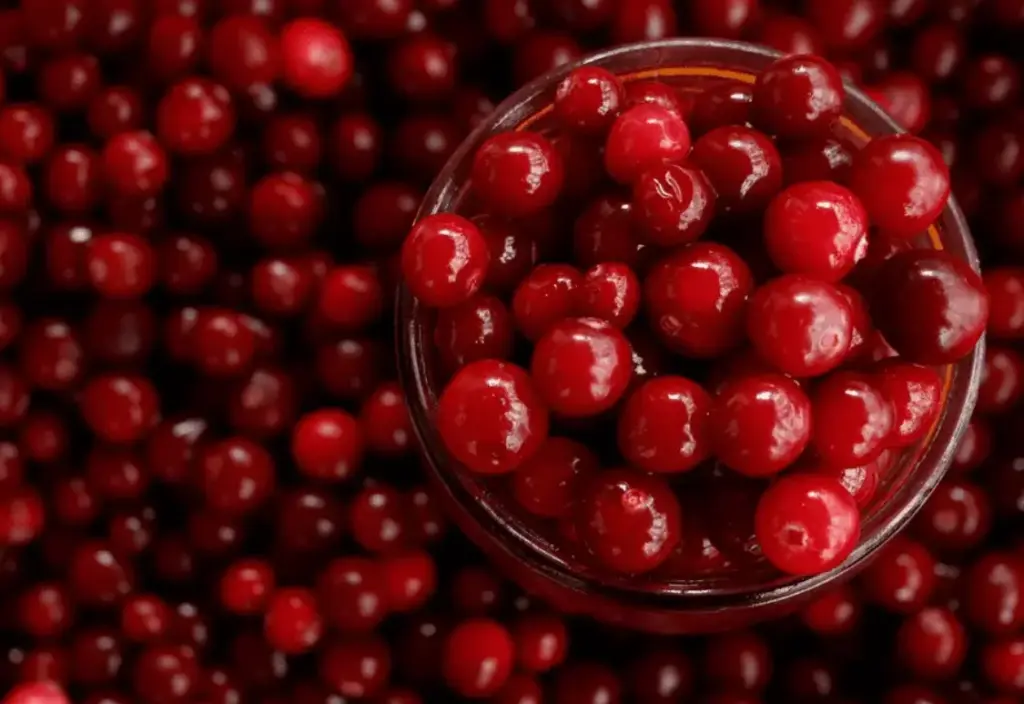 Arándanos rojos:propiedades, beneficios y usos