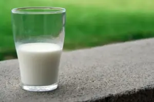 Propiedades y beneficios de la leche de cabra